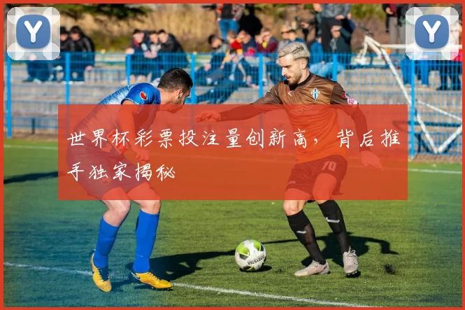 世界杯彩票投注量创新高，背后推手独家揭秘