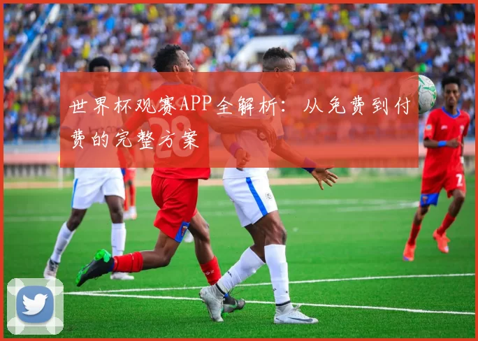 世界杯观赛APP全解析：从免费到付费的完整方案