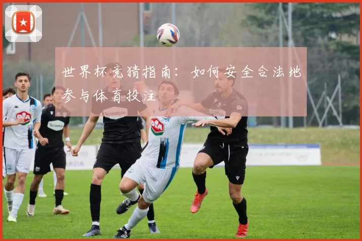 世界杯竞猜指南：如何安全合法地参与体育投注