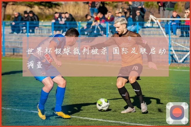 世界杯假球裁判被杀 国际足联启动调查