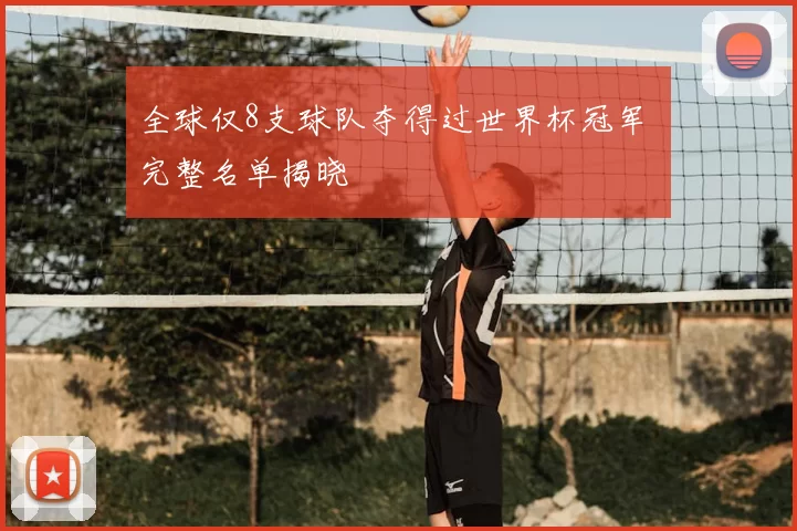 全球仅8支球队夺得过世界杯冠军 完整名单揭晓
