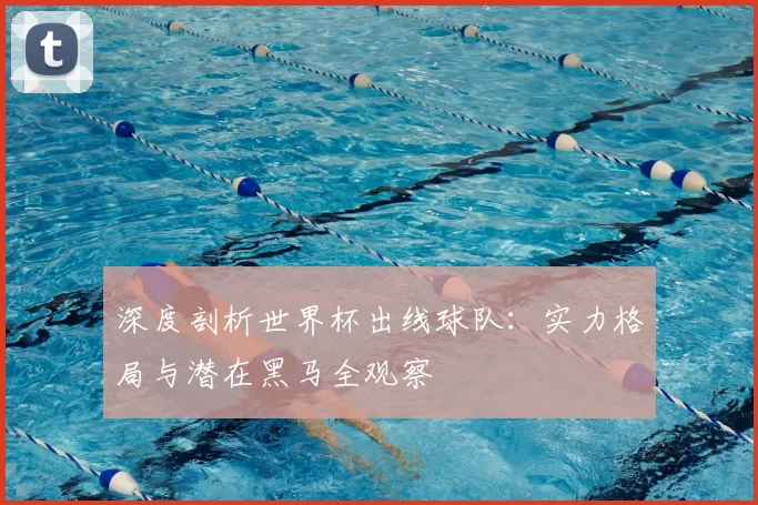 深度剖析世界杯出线球队：实力格局与潜在黑马全观察