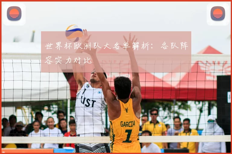世界杯欧洲队大名单解析:各队阵容实力对比