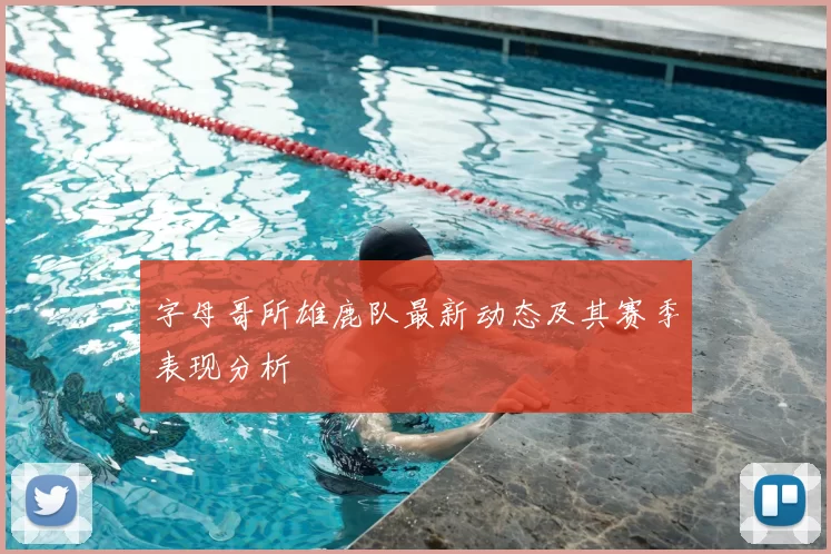 字母哥所雄鹿队最新动态及其赛季表现分析