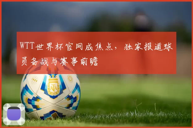 WTT世界杯官网成焦点，独家报道球员备战与赛事前瞻