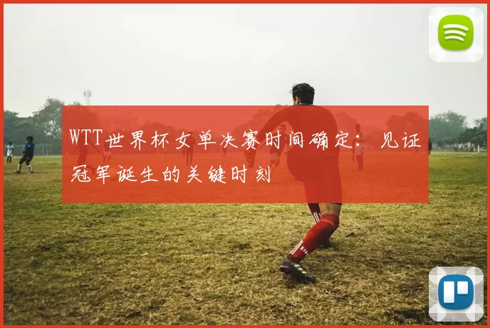WTT世界杯女单决赛时间确定：见证冠军诞生的关键时刻
