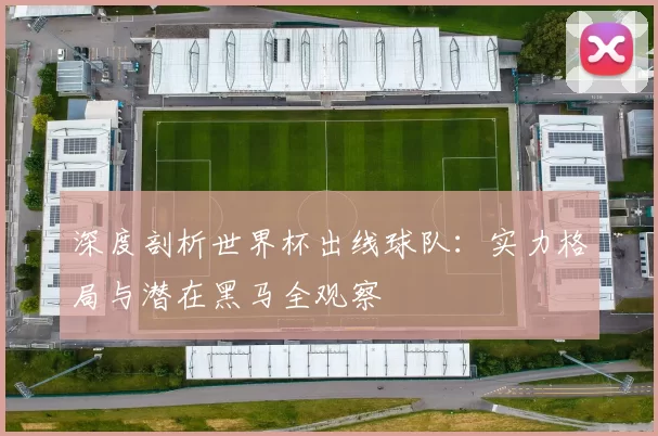 深度剖析世界杯出线球队：实力格局与潜在黑马全观察